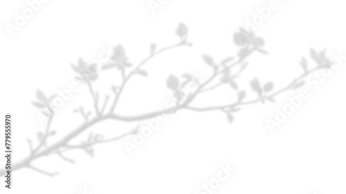 realistic tree branches shadow overlay blur isolated on transparent backgrounds 3d render png file