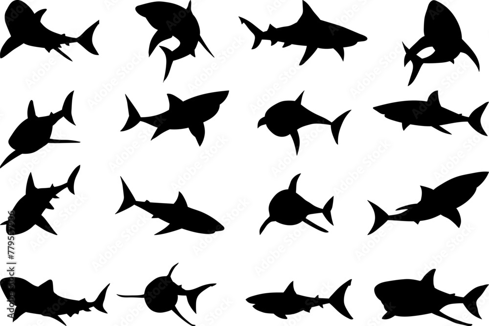 Fototapeta premium shark set silhouette on white background vector
