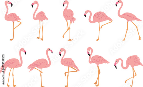 flamingo pink set in flat style on white background vector © zolotons