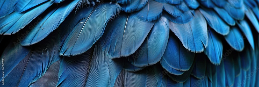 Sharp Blue Hawk Feather Detail for Background or Texture - Avian Nature's Prized Prey Standing with Jungle Colours and Visible Wing Sharp Blue Hawk Feather Detail for Background or Texture - Avian Nature's Prized Prey Standing with Jungle Colours and Visible Wing