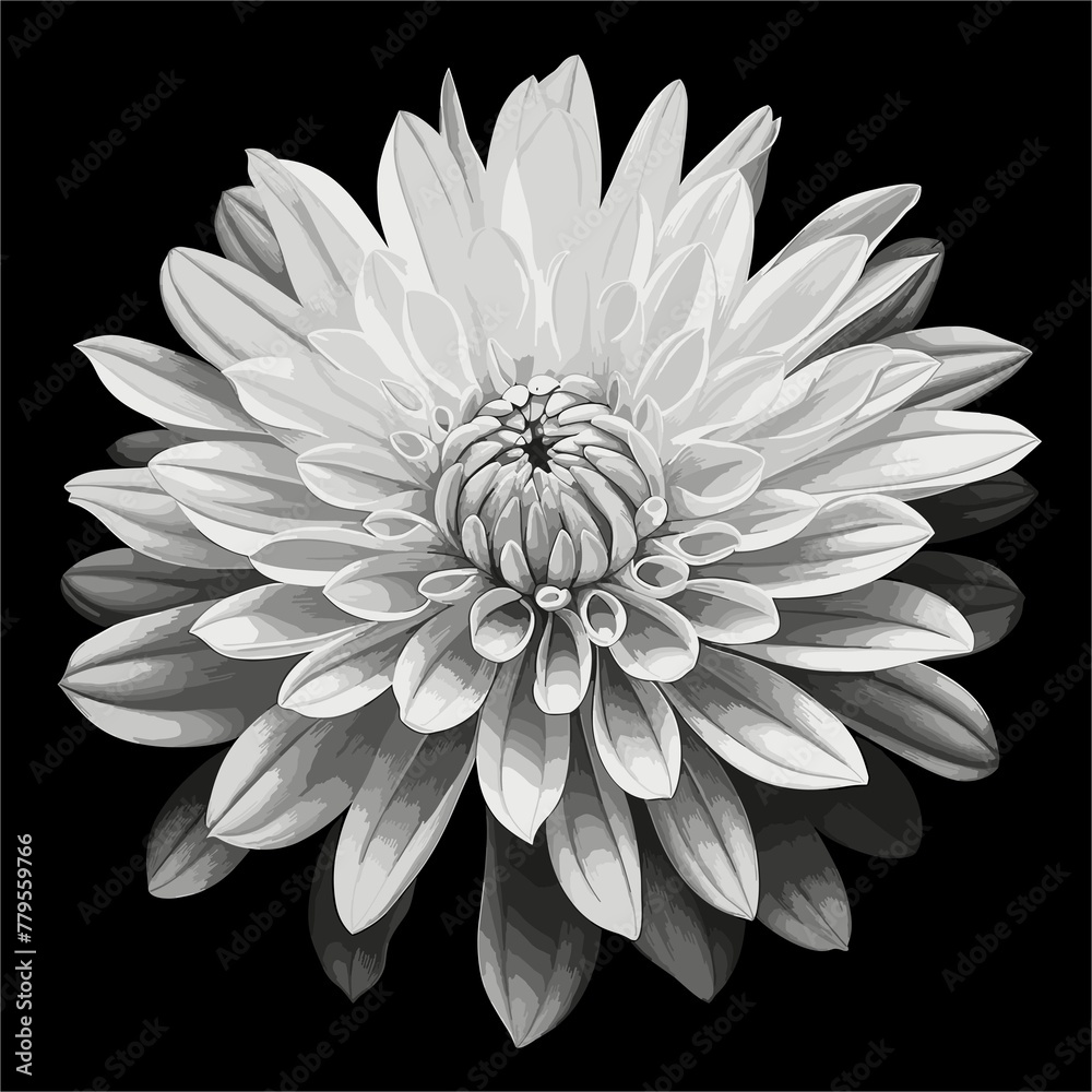 AI generated illustration of A vibrant white flower against a black backdrop