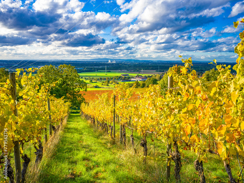 Weinberge Hörstein bei Aschaffenburg Alzenau photo