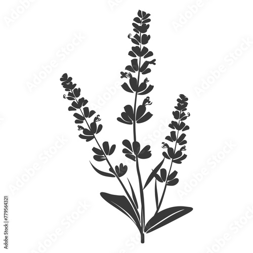 Silhouette lavender flower black color only