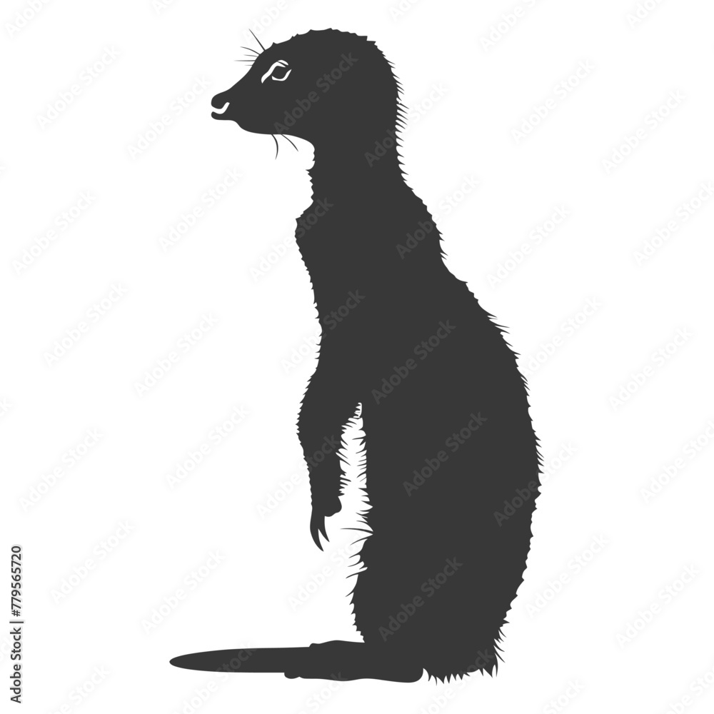 Silhouette meerkat animal black color only Silhouette meerkat animal black color only