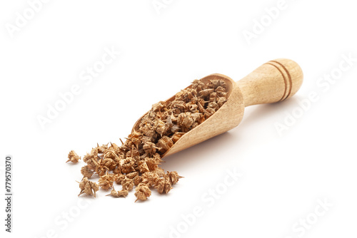 Front view of a wooden scoop filled with Organic Gokhuru (Tribulus Terrestris) fruits. Isolated on a white background.