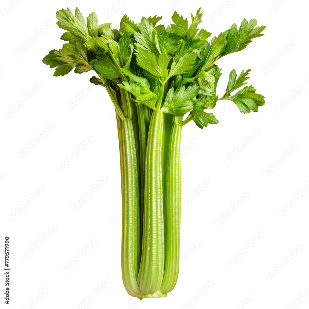 A stalk of celery with leaves A stalk of celery with leaves