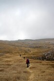 Vertical shot of hikers walking on the slopes of a mountain on a gloomy autumn day