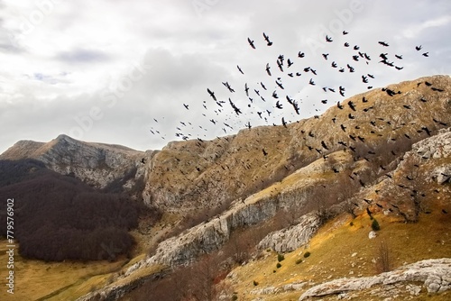Aerial shot of black sparrows flying in the air along the rocky mountain range