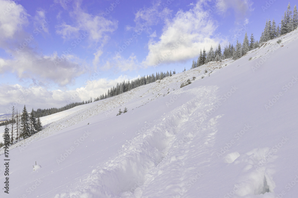 the path is laid in deep snow along the traverse of the mountain, winter hike, snowdrifts, path, direction, footprints
the path is laid in deep snow along the traverse of the mountain, winter hike, snowdrifts, path, direction, footprints