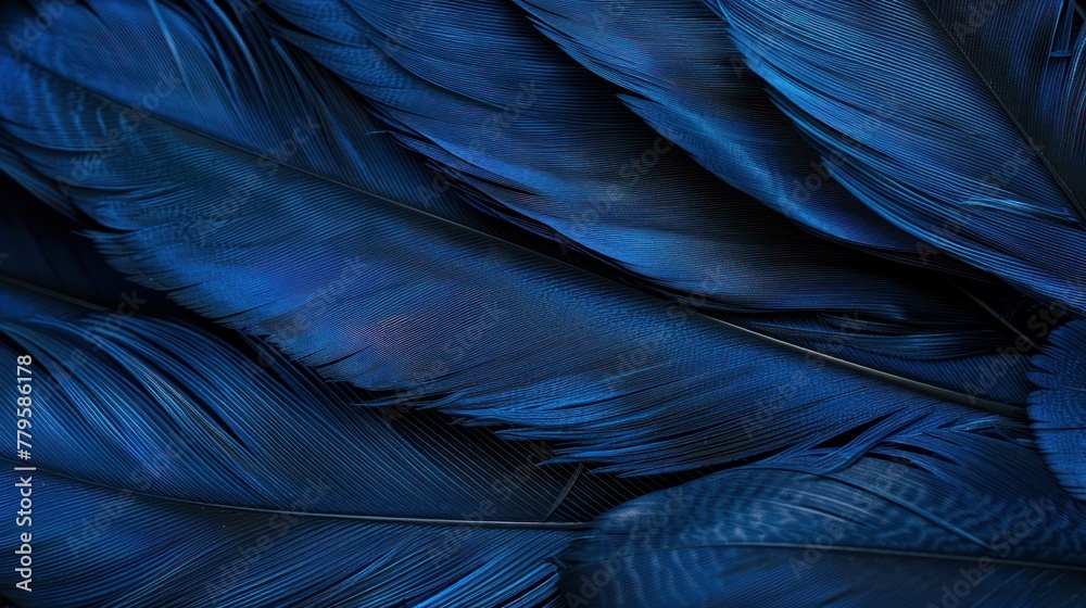 Obraz premium Detailed close-up view of navy blue bird feathers