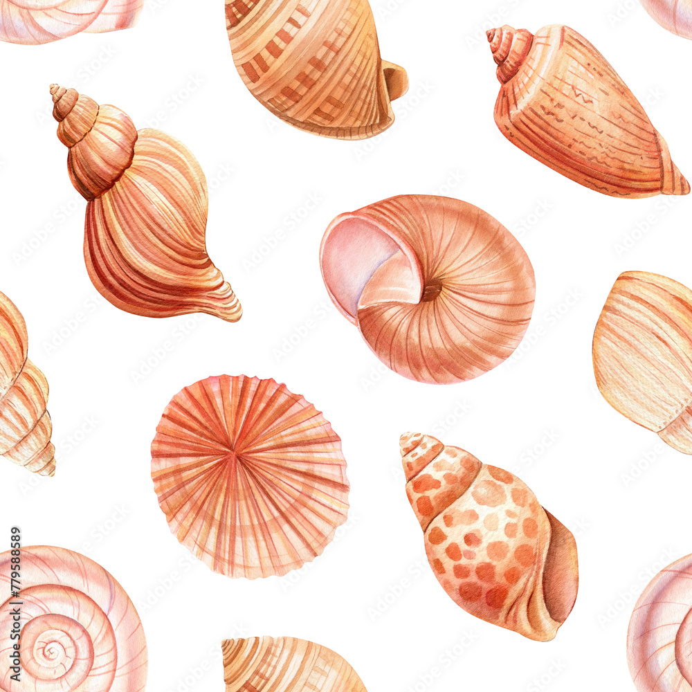 Watercolor Seamless pattern with seashells, Sea shell marine, nautical greetings, invitations, wrapping paper, textile Watercolor Seamless pattern with seashells, Sea shell marine, nautical greetings, invitations, wrapping paper, textile