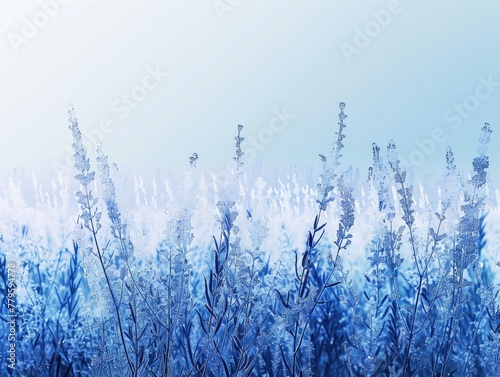 A frosty gradient transition from icy white to cool blue