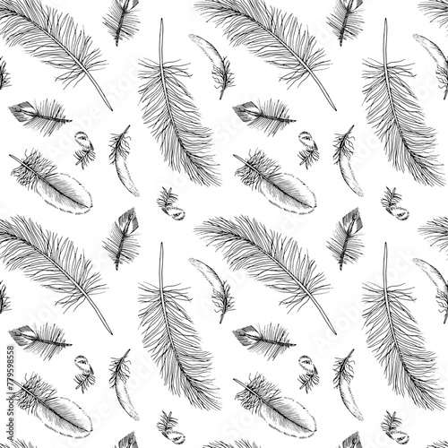 Feather Vector seamless Pattern. Outline illustration of quills Background. Black and white line art of bird plumes. Hand drawn graphic sketch. Linear print drawing for fabric or paper design © Ekaterina