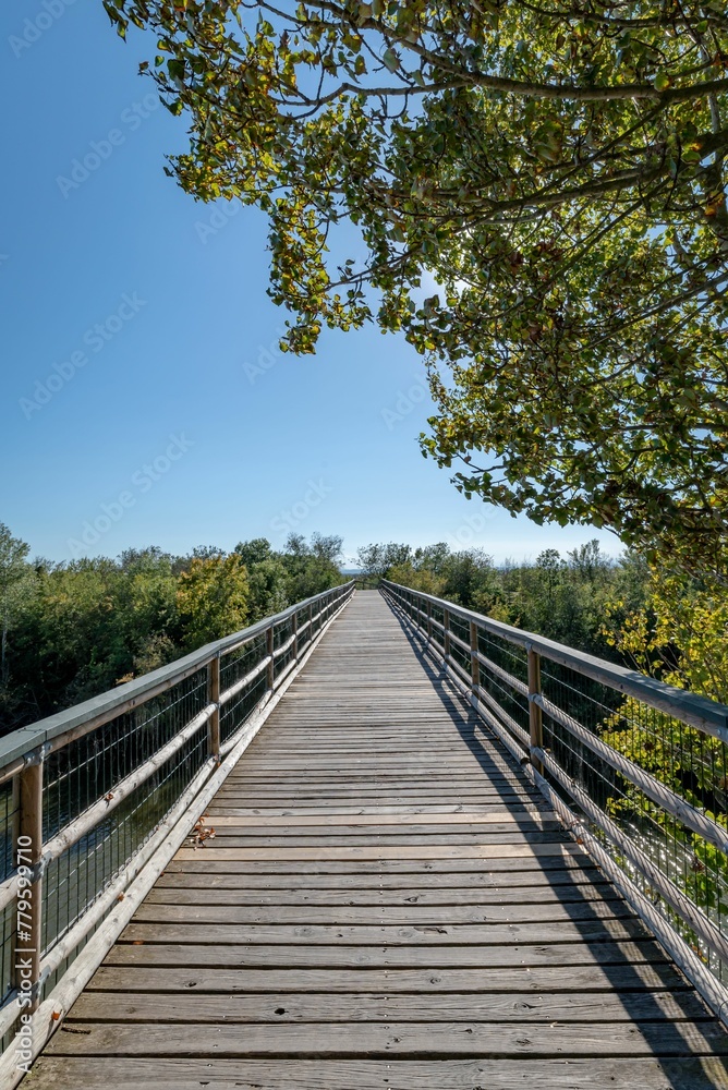 Vertical shot of a narrow wooden bridge under the blue sky