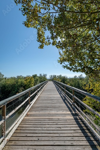 Vertical shot of a narrow wooden bridge under the blue sky