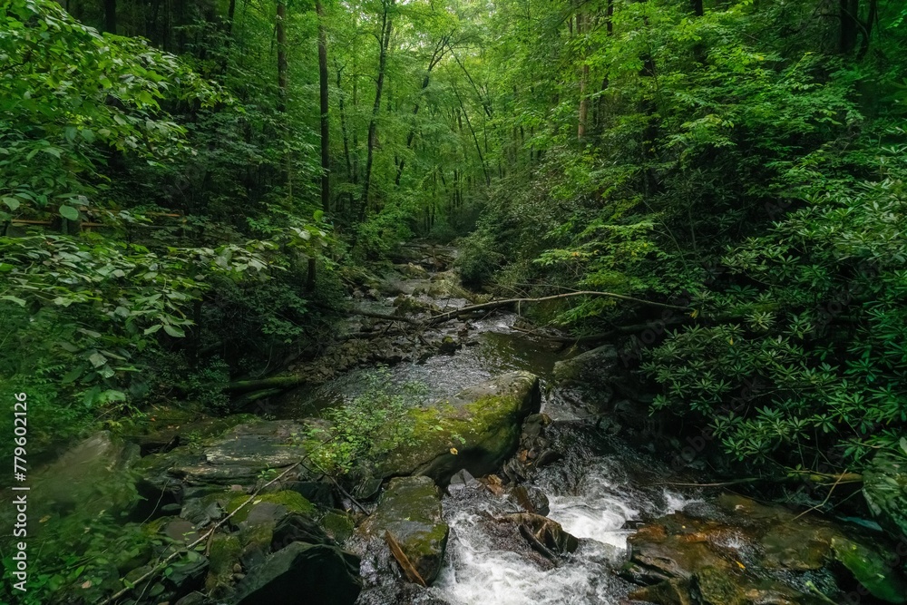 Small waterfall on rocks surrounded by greenery in a forest in the daylight Small waterfall on rocks surrounded by greenery in a forest in the daylight