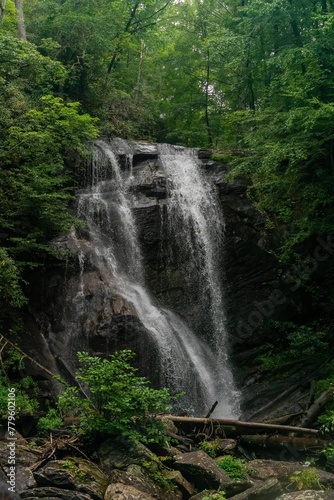 Small waterfall on rocks surrounded by greenery in a forest in the daylight