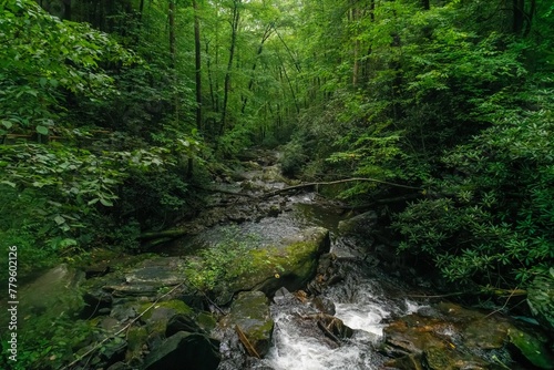 Small waterfall on rocks surrounded by greenery in a forest in the daylight