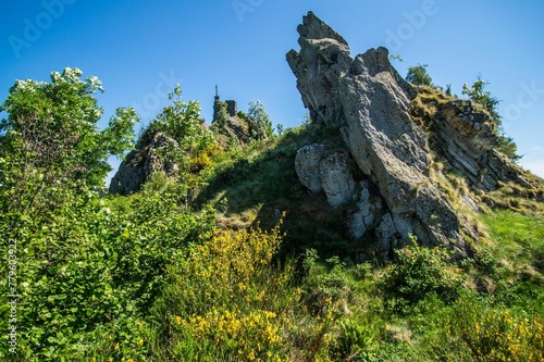 Low angle shot of rock and green plants under the blue sky on a sunny day