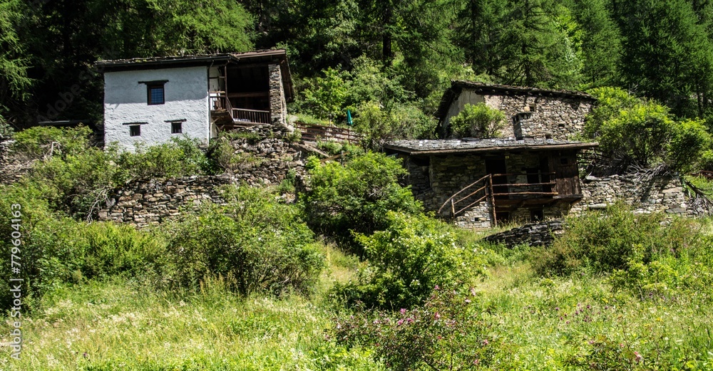 Landscape of grass plants with old houses in Val Sapin in Aosta, Italy on a sunny day Landscape of grass plants with old houses in Val Sapin in Aosta, Italy on a sunny day