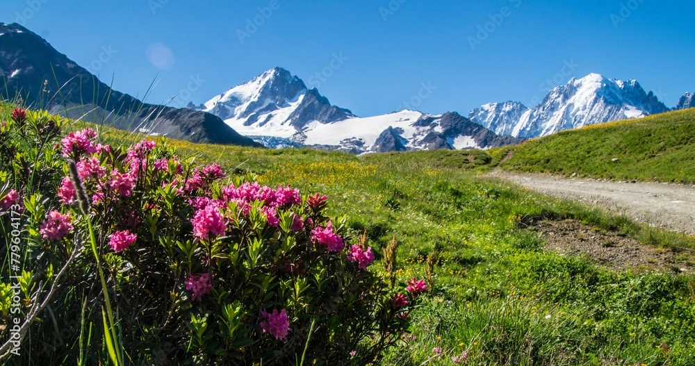Landscape of green hills with flowers in charamillon gondola alps in haute savoie in France