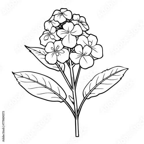 Graceful outline vector of hydrangea icon for botanical designs. Natural beauty.