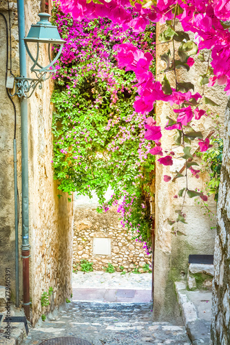 beautiful old town street with flowers st summer, Provence, France, retro toned © neirfy