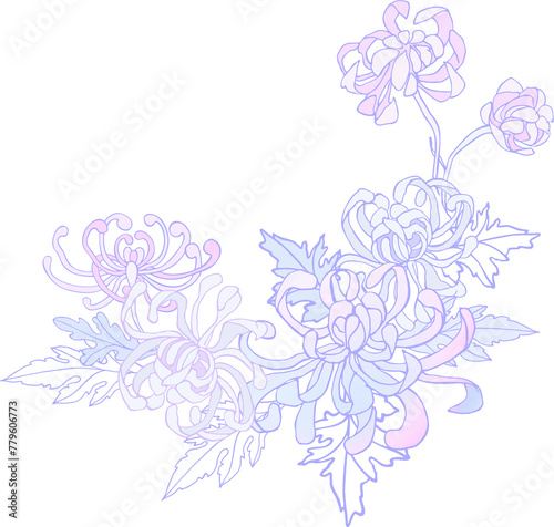 Curly chrysanthemum - a flower with leaves in lilac-lilac pastel colors on a transparent background. Digital illustration in Asian style for branding  scrapbooking  printing.