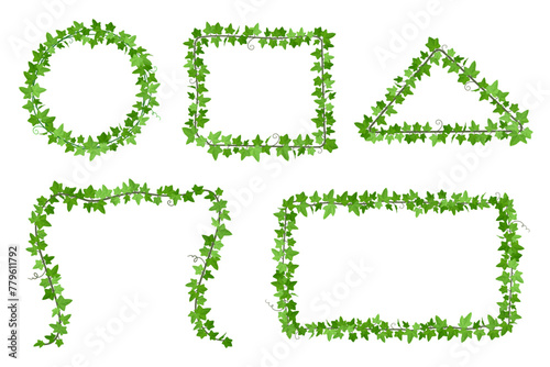 Ivy frames. Creep vines garland, creeper plant climbing wall, vine leaf border frame greenery vegetation decorative ivies circle wreath garden branches cartoon vector illustration
