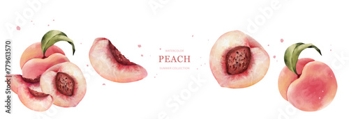 Peaches watercolor vector on white background