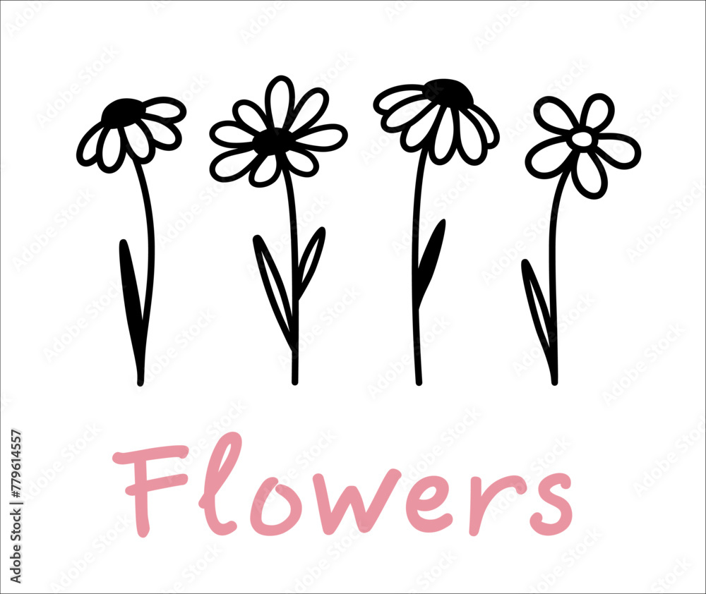 Flowers pattern, wildflowers and chamomiles silhouettes