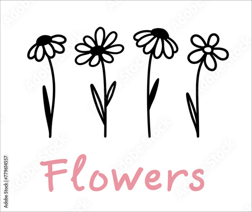 Flowers pattern, wildflowers and chamomiles silhouettes