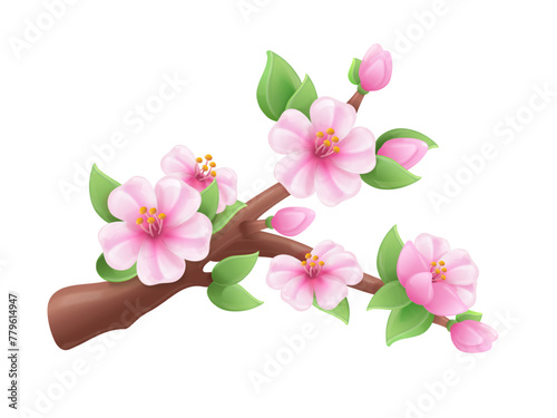 3d sakura branch. Blossom japanese cherry  bloom fruit tree apricot peaches cherries flowers bud  spring may plasticine realistic elements