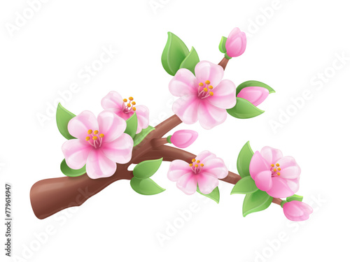 3d sakura branch. Blossom japanese cherry, bloom fruit tree apricot peaches cherries flowers bud, spring may plasticine realistic elements