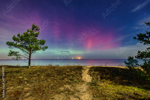 Fototapeta Naklejka Na Ścianę i Meble -  Northern lights over the Baltic Sea beach in Gdansk Sobieszewo with single pine tree, Poland.