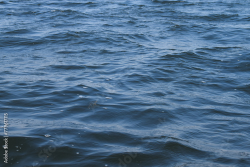 Fototapeta Naklejka Na Ścianę i Meble -  Blue waves sea water surface background