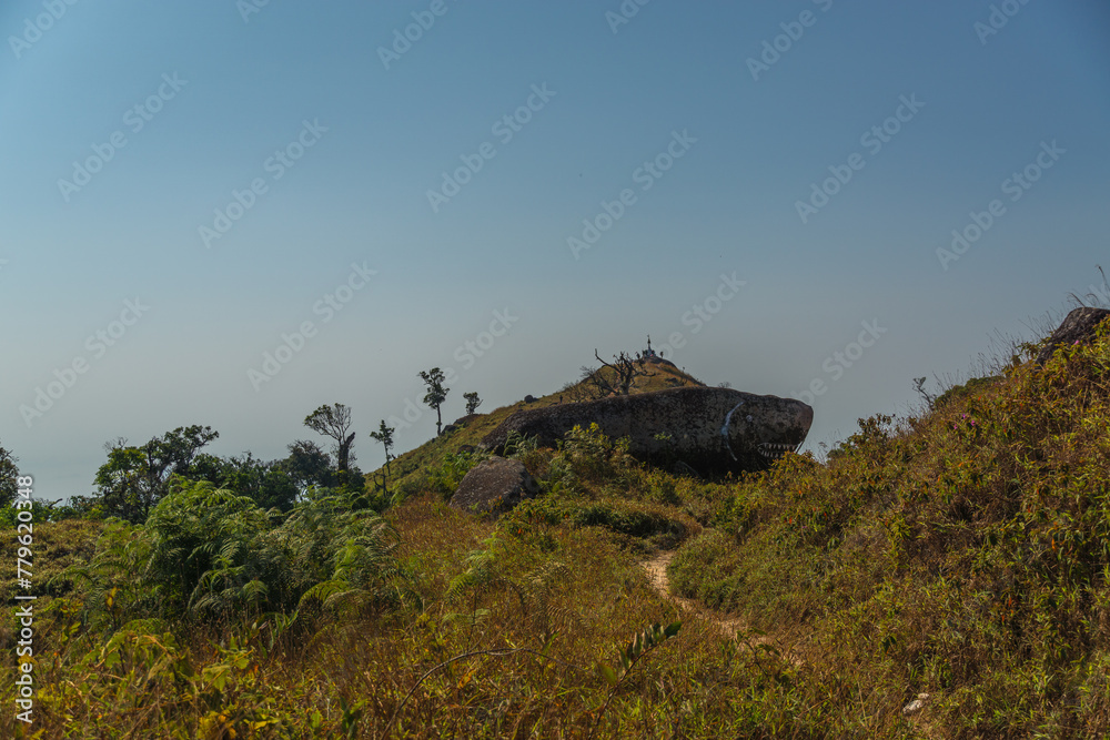 A hillside with a large rock on top and a few trees in the foreground