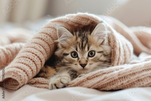 Ill kitten under cozy blanket in bed