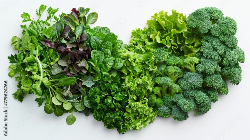 Fototapeta premium Fresh leafy greens assortment on white background