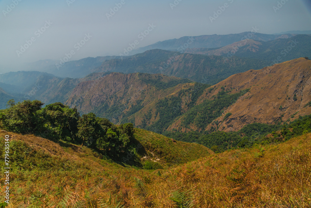 The mountains are covered in trees and the sky is clear The mountains are covered in trees and the sky is clear