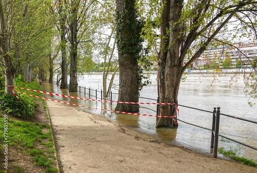 Des arbres et un quai de promenade inondés lors d'une crue