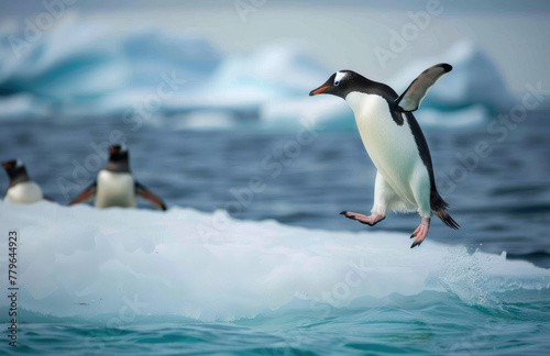 a penguin jumping off an ice floe in the South Pole, with cold blue water below and white snow on top.