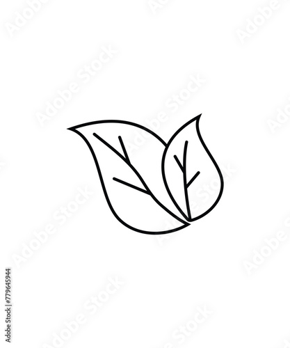 leaf icon  vector best line icon.