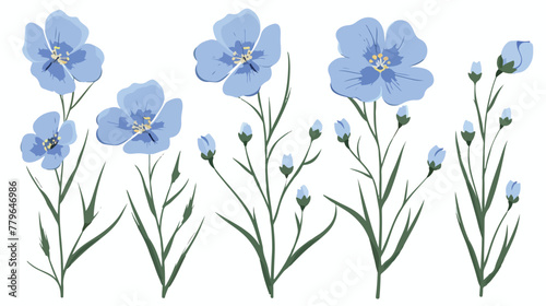 Flax blue flowers . flat vector isolated on white background