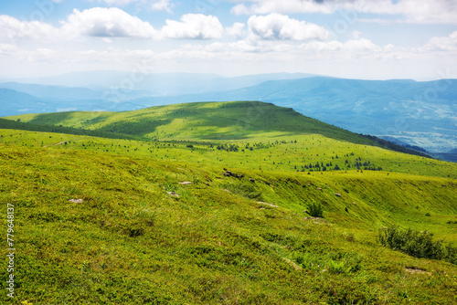 wonderful alpine landscape of ukraine in summer. clouds above the rolling hills and green meadows of carpathian mountains on a sunny day
