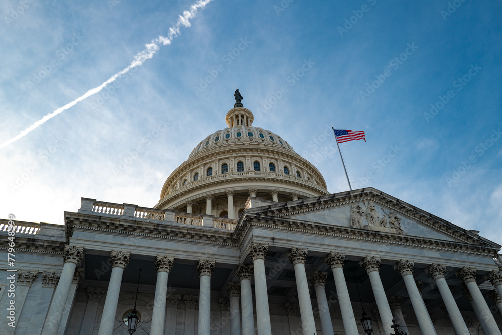 Washington DC Capitol detail. American symbol. Capitol Building, Congress in Washington DC. Washington DC Capitol detail. American symbol. Capitol Building, Congress in Washington DC.