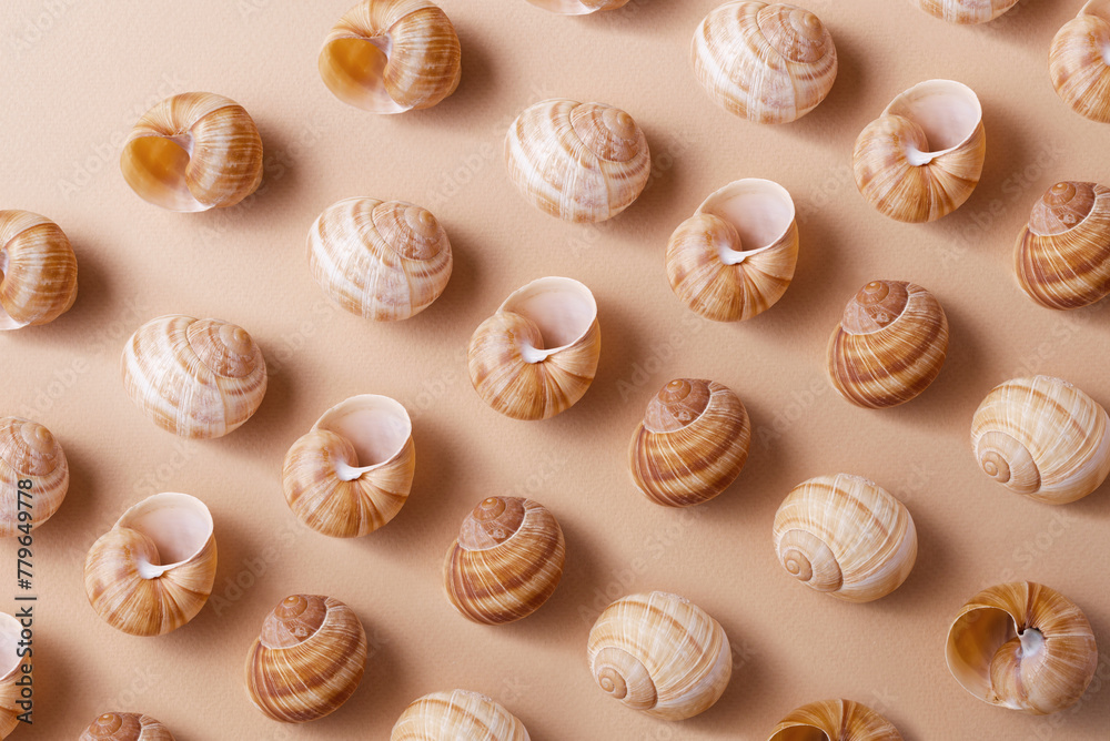 Pattern of different snail shells on a beige background, monochrome palette