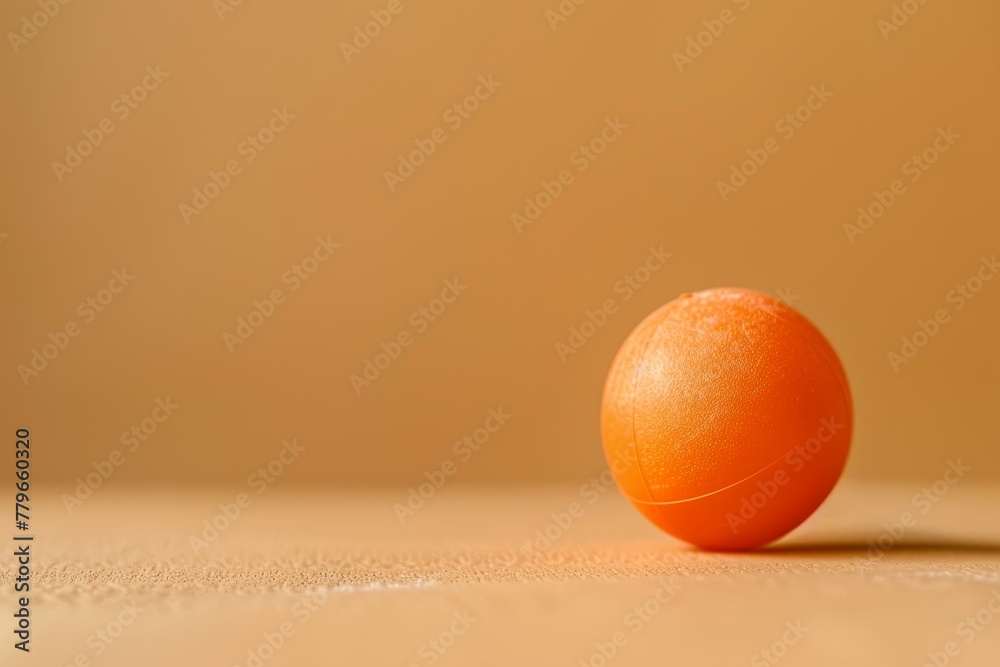 toy for dog orange plastic ball photograph taken separately toy for dog orange plastic ball photograph taken separately