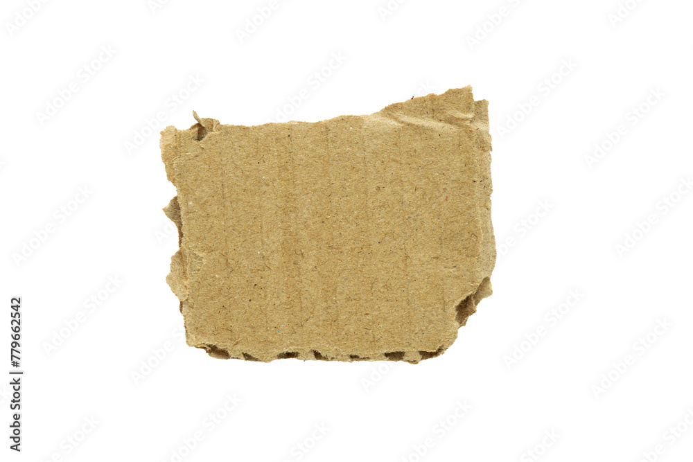 piece of torn cardboard uneven edge isolated on white background