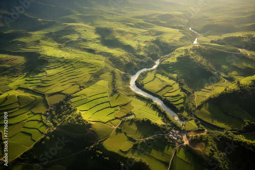 Aerial View of Vibrant Green Agricultural Fields. Farmland divided by trees and roads. Generative AI